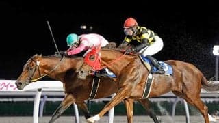 【静内軽種馬生産振興会特別】10歳馬ケイアイパープルがアタマ差の接戦を制す 道営記念の優先出走権を獲得