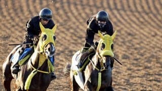 【南部杯】連覇を狙うウィルソンテソーロは昨年以上の出来　高木調教師「今年はすごく調整がしやすかった」