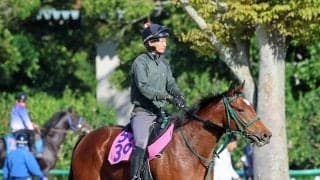 【ＰＯＧ】母はＧ１・３勝のストレイトガール　キセキノアスクが初陣Ｖへ　手塚徳調教師「長い目で見ればいい馬」
