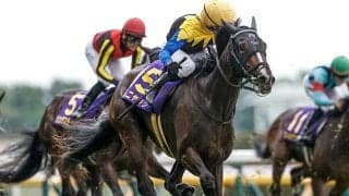 【アイルランドT出走馬・騎手確定】カムニャック＆川田将雅騎手、クイーンズウォーク＆西村淳也騎手など16頭