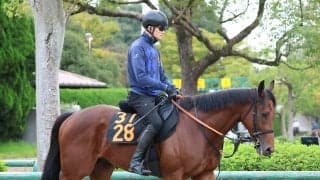 【ＰＯＧ】仏Ｇ３勝ち馬を祖母に持つランギヌイはひと追いごとに良化　宮田調教師「確実に上昇して今週を迎えられた」