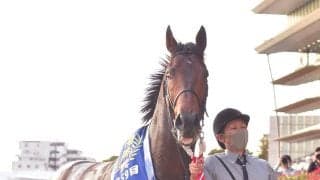【ＰОＧ】オーソリティの全妹サンティエリュールがデビュー　松永幹調教師「長めの距離が良さそうなタイプ」