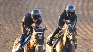 【アイルランドＴ】ミラビリスマジックの木曜追いに明確な２つの狙い　千葉調教師「水曜と比べて木曜は…」