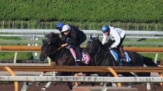 【JRA新馬戦】スターズオンアースの半弟ラニアケアなどがデビュー