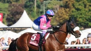 メイショウタバルは次走ジャパンＣか有馬記念へ　栗東トレセンで石橋調教師が明かす