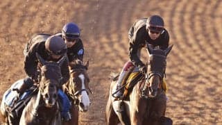【アイルランドＴ】ニシノティアモが得意条件で巻き返す　３頭併せで馬なり併入　上原佑調教師「すごく楽に動けていました」