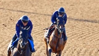 【秋華賞・１週前】底を見せていない素質馬カナルサンマルタンが 好時計　宮田師「加速する脚は素晴らしい」
