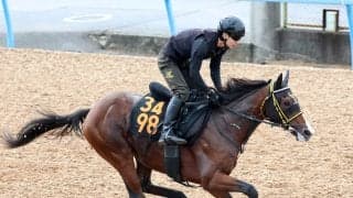 【サウジアラビアＲＣ】阪神連覇にあやかり！ニシノトラノスケが西山オーナーに２週連続の重賞Ｖを届ける