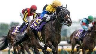 【アイルランドT枠順確定】カムニャックは8枠16番、クイーンズウォークは2枠3番