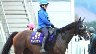 【アイルランドＴ】昨年のオークス馬カムニャックは大外の８枠１６番　クイーンズウォークは２枠３番