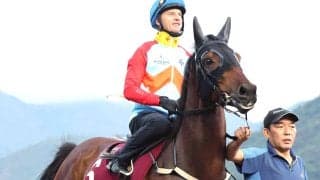 香港の短距離王カーインライジングがレーティング１３５で首位守る　ロンジンワールドベストホースランキング発表