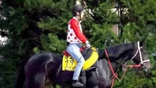 【アイルランドＴ】前走コースレコードＶのラヴァンダは好調キープ　中村調教師「不安なく競馬に向かえるかな」