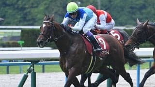 【富士S想定馬・騎手】トロヴァトーレ、シュガークンなど15頭