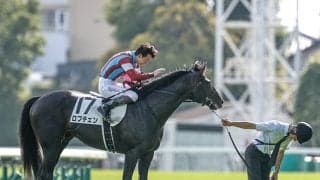 【菊花賞想定馬・騎手】ロブチェン、ダノンヒストリーなど22頭