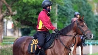 【サウジアラビアＲＣ・金曜気配】エフフォーリア産駒重賞初Ｖへ　ベルウッドディープは坂路で調整　室井師「精神的にも成長」