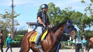 【アイルランドＴ・金曜気配】カネラフィーナは右側に着ける初ブリンカーの効果に期待　手塚久調教師「この馬なりに順調です」