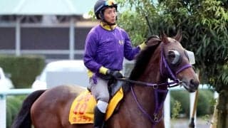 【アイルランドＴ・金曜気配】２つ目の重賞タイトルへジョスランが好調アピール　鹿戸師「１８００メートル以上の方が合っている」
