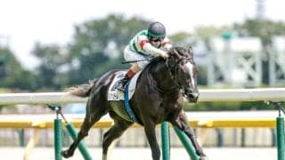 【サウジアラビアRC予想】東京芝1600mの2歳重賞 スピードと瞬発力に加え操作性がカギ