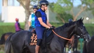 【注目馬動向】新潟記念を勝ったゾロアストロは天皇賞・秋への出走を見送る　