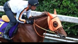 【注目馬動向】桜花賞馬スターアニスはマイルＣＳに参戦　２戦２勝のマイルで巻き返し狙う