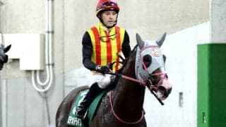 【注目馬動向】ＮＨＫマイルＣの覇者ロデオドライブはマイルＣＳへ向かう