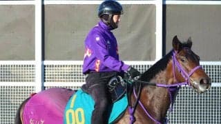 【注目馬動向】エフフォーリア産駒のチェスティーノは予定していた百日草特別を回避　
