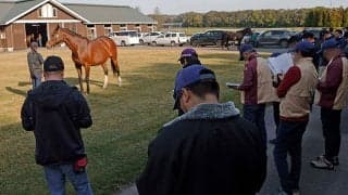 胆振軽種馬農協青年部がノーザンファームミックスセールに向け視察研修を実施 軽種馬生産者ら約30人が参加