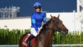 【スワンS枠順確定】オフトレイルは5枠9番、エリカエクスプレスは8枠18番