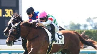 【京都２Ｒ】バティックが２歳ＪＲＡレコードで勝利　ミッキーアイルの記録を１３年ぶりに更新　西村淳也騎手「能力のある馬」