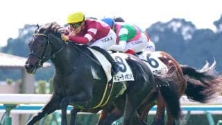 【京都５Ｒ・２歳新馬】藤田晋オーナーの１・７億円馬キューティボンドがデビューＶ　福永調教師「これからが楽しみ」
