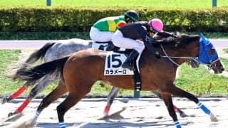 【東京４Ｒ・２歳新馬】６番人気のカラメーロがメンバー最速の末脚でＶ　大野拓弥騎手「追ってからもしっかり走ってくれた」