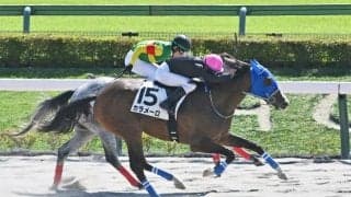 【東京4R新馬戦結果】サンライズノヴァ産駒カラメーロが接戦を制してV