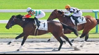 【京都６Ｒ・２歳新馬】マイスターシューズが圧巻の差し切り勝ち　田口貫太騎手「今後が楽しみです」