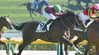 【東京6R新馬戦結果】コントレイル産駒ブレイクソロが競り合いを制す