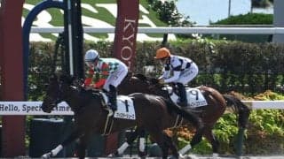 【京都6R新馬戦結果】モーニン産駒マイスターシューズが後方からの差し切り勝ち