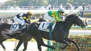【東京5R新馬戦結果】サートゥルナーリア産駒サトノカグラが初陣飾る