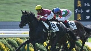 【京都5R新馬戦結果】サートゥルナーリア産駒キューティボンドが人気に応えて差し切りV