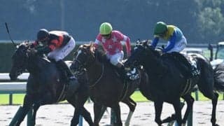 【紫菊賞結果】シンガリ人気ビップヴィーナスがゴール前の大接戦を制す