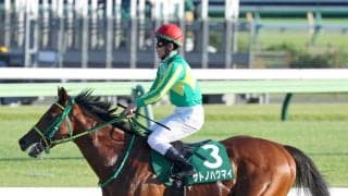 【サウジアラビアＲＣ・陣営談話】首差２着のサトノハクマイ　戸崎圭太騎手が「申し訳なかったです」と話したポイント