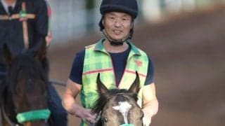 【太秦Ｓ・土曜気配】メンバー唯一の３歳馬メルカントゥールが賞金加算へ勝負気配　陣営「だいぶフットワークがいい」