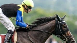 【アイルランドT前日オッズ】カムニャックが3.2倍で1番人気