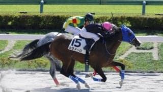 【新馬/東京4R】サンライズノヴァ産駒カラメーロがデビューV