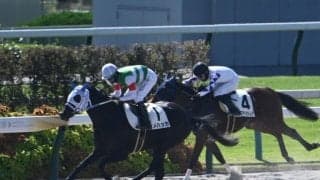 【京都3R新馬戦結果】ホットロッドチャーリー産駒ヒメハッカが出遅れを巻き返して快勝