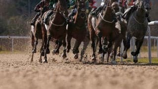 【マイルCS南部杯／全頭診断】ウィルソンテソーロは“盤石にあらず”　GI馬に先着の条件で大金星狙う4歳馬は
