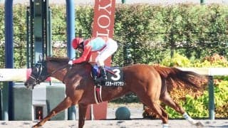【京都１１Ｒ・太秦Ｓ】紅一点７番人気のバスタードサフランが快勝　酒井学騎手「女の子が１頭でしたが、よく頑張ってくれた」