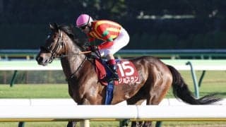 【アイルランドＴ】ジョスランは惜しい２着　ルメール騎手「残念ながら勝った馬はＧ１レベル」