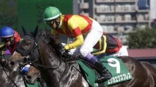 【スワンS前日オッズ】エリカエクスプレスが4.4倍で1番人気
