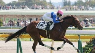 【東京５Ｒ・２歳新馬】「言うことない」と奥村武調教師が絶賛　スパリエーラが横綱相撲の競馬でデビュー戦Ｖ