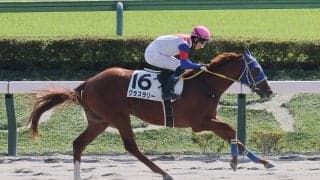 【東京６Ｒ・２歳新馬】７番人気グラスラリーが３番手から最速の末脚でＶ　小林脩斗騎手「競馬が上手」