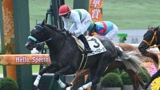 【京都6R新馬戦結果】カラヴァッジオ産駒ベニーバローズが初陣飾る